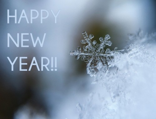 Happy New Year!!