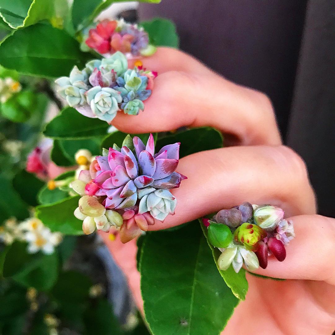 Succulent Nails